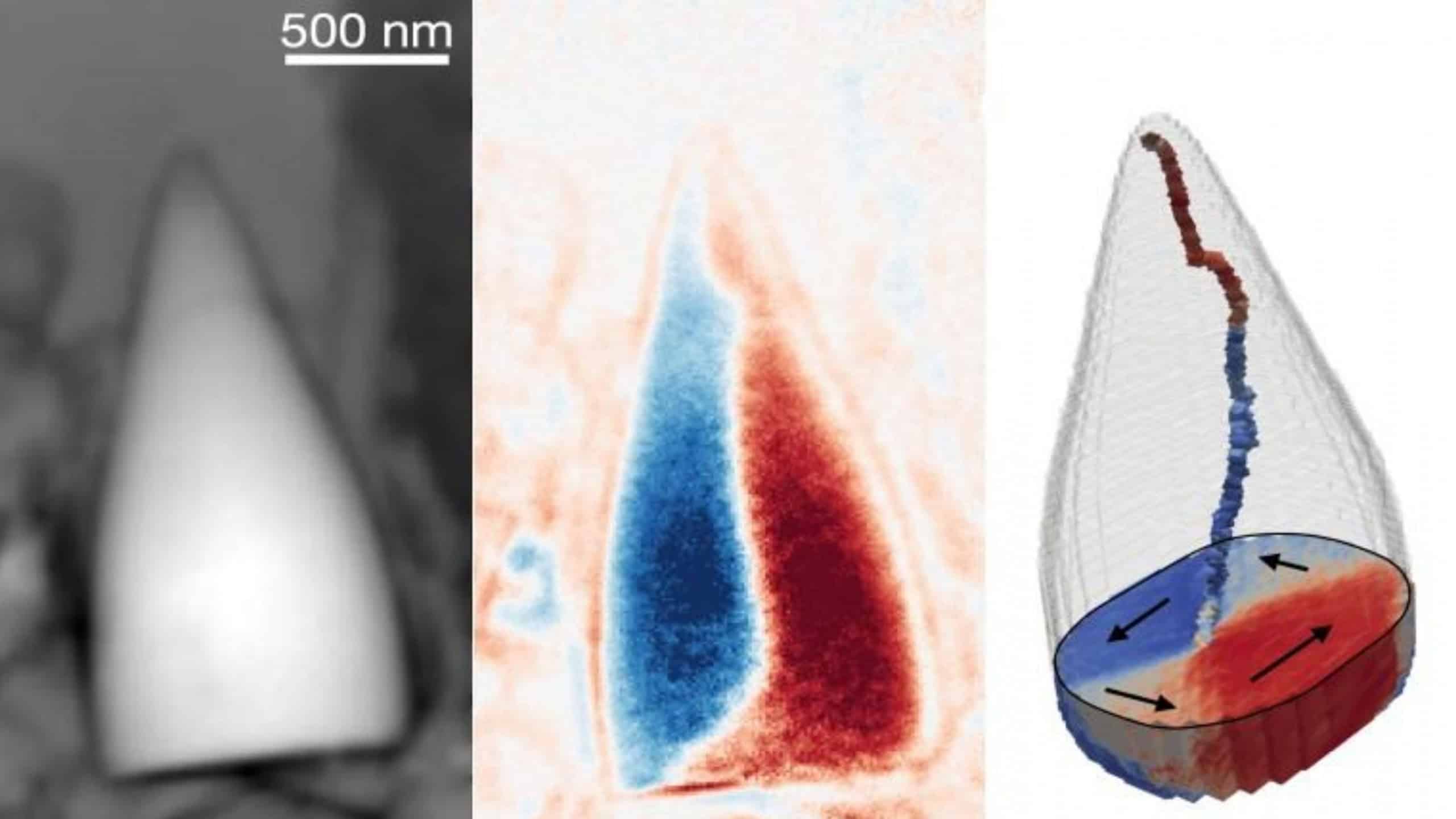 Fósseis de milhões de anos de uma criatura desconhecida tem “GPS biológico”