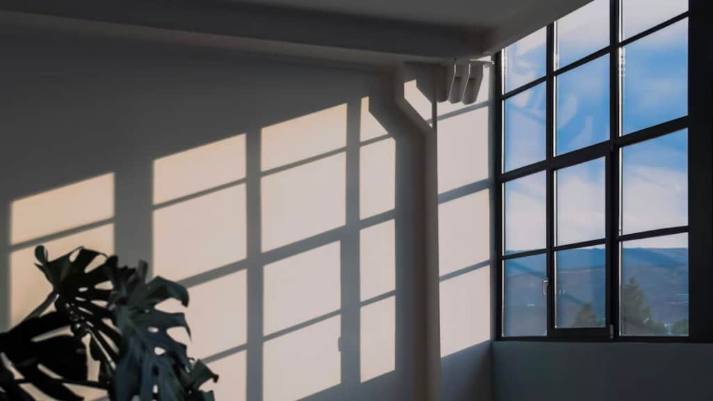 Luz natural entrando pela janela em uma sala com planta