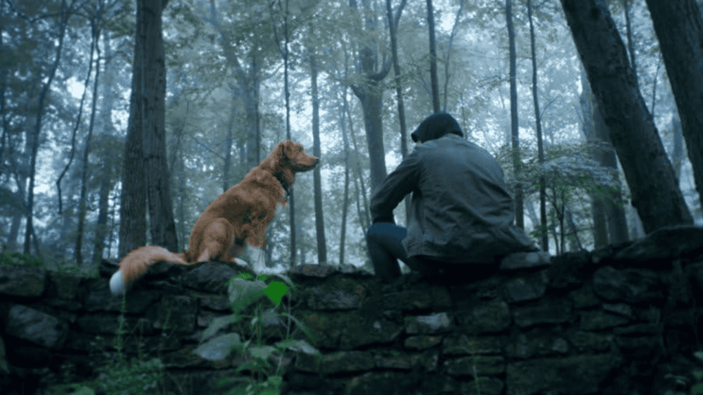 final explicado do filme de terror com o ponto de vista do cachorro