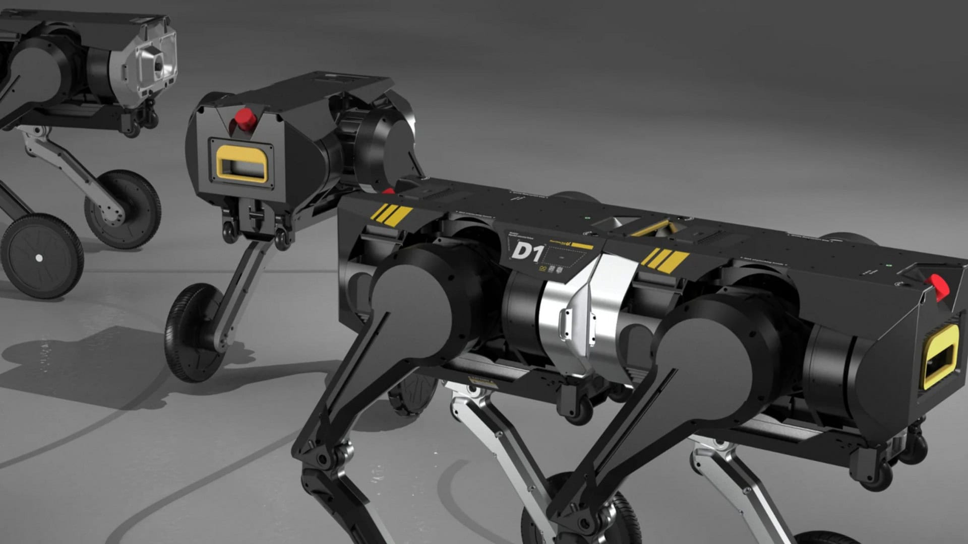 Robô D1