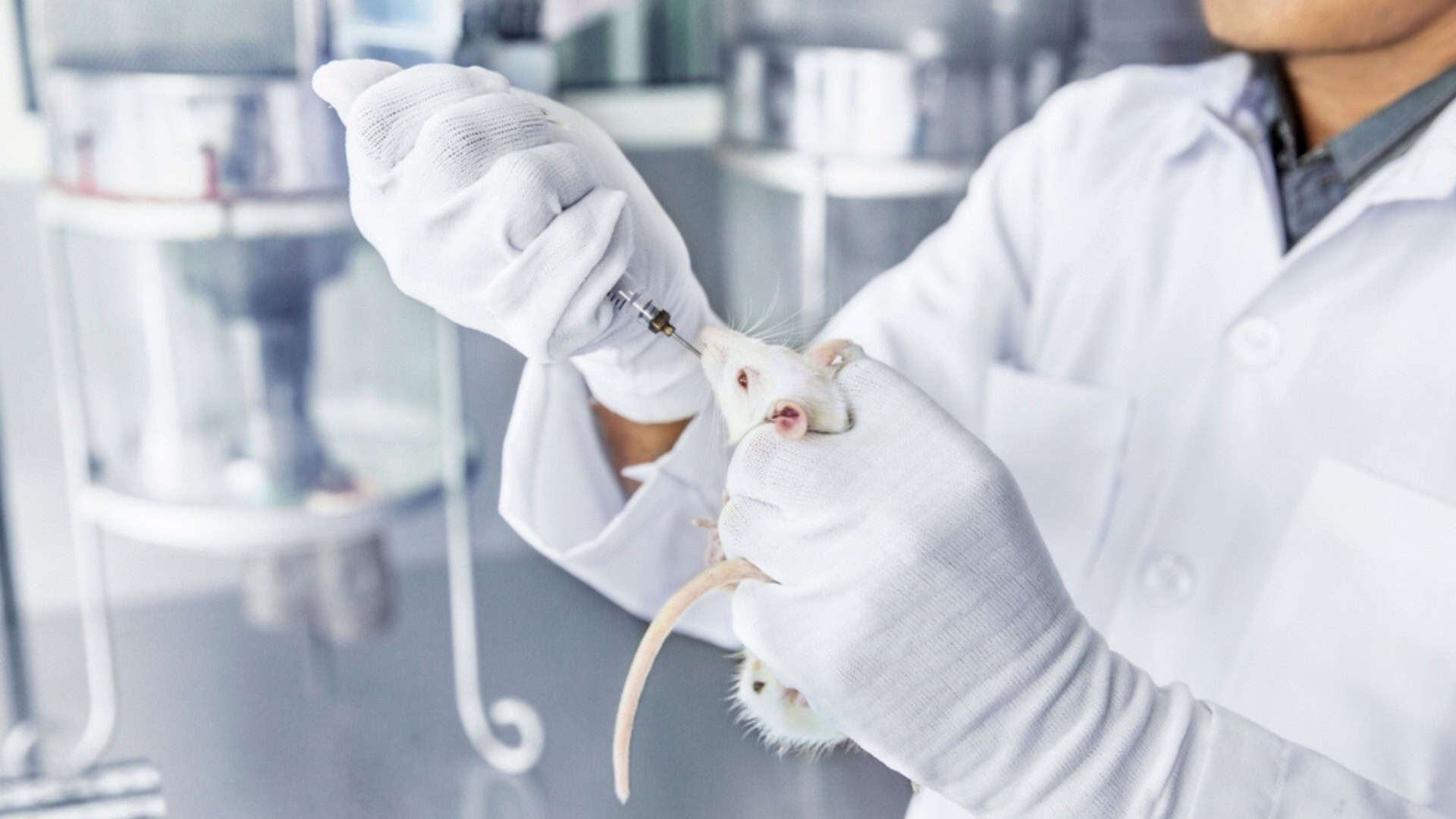 Teste-em-animais-1920x1080