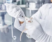 Teste-em-animais-210x172