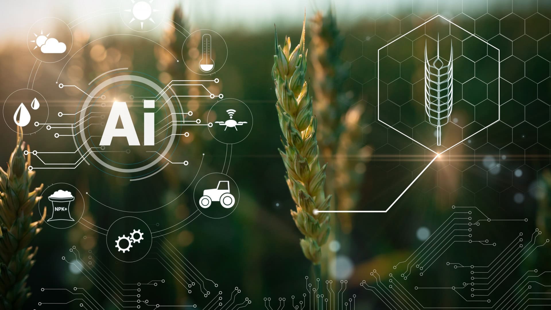 Agricultura ganha eficiência com IA e robótica em fazendas dos EUA