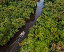 barco amazonia
