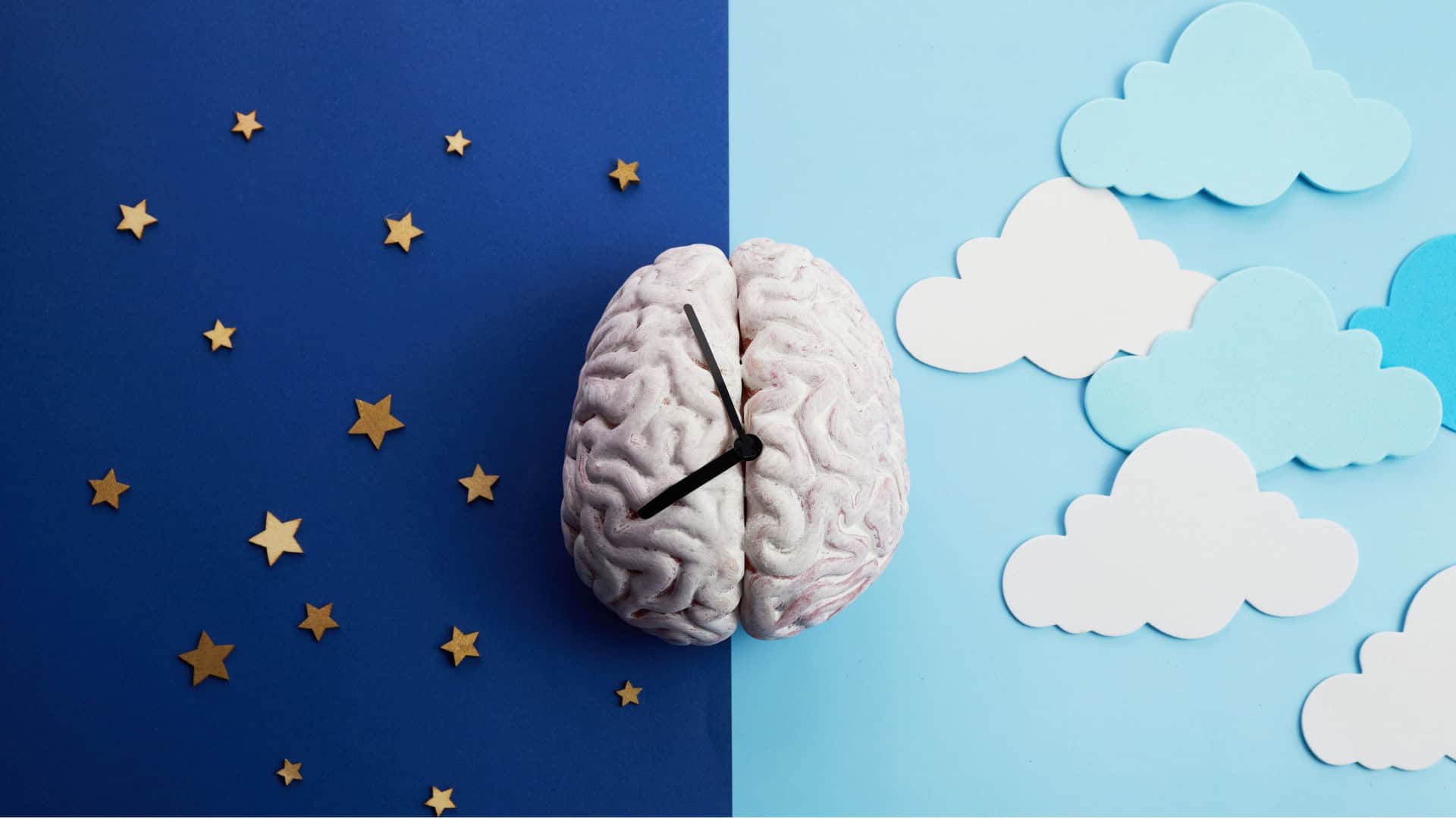 circadianos são controlados pelos relógios circadianos, também chamados de relógios biológicos