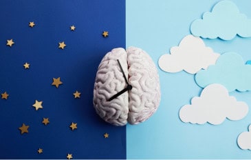 circadianos são controlados pelos relógios circadianos, também chamados de relógios biológicos