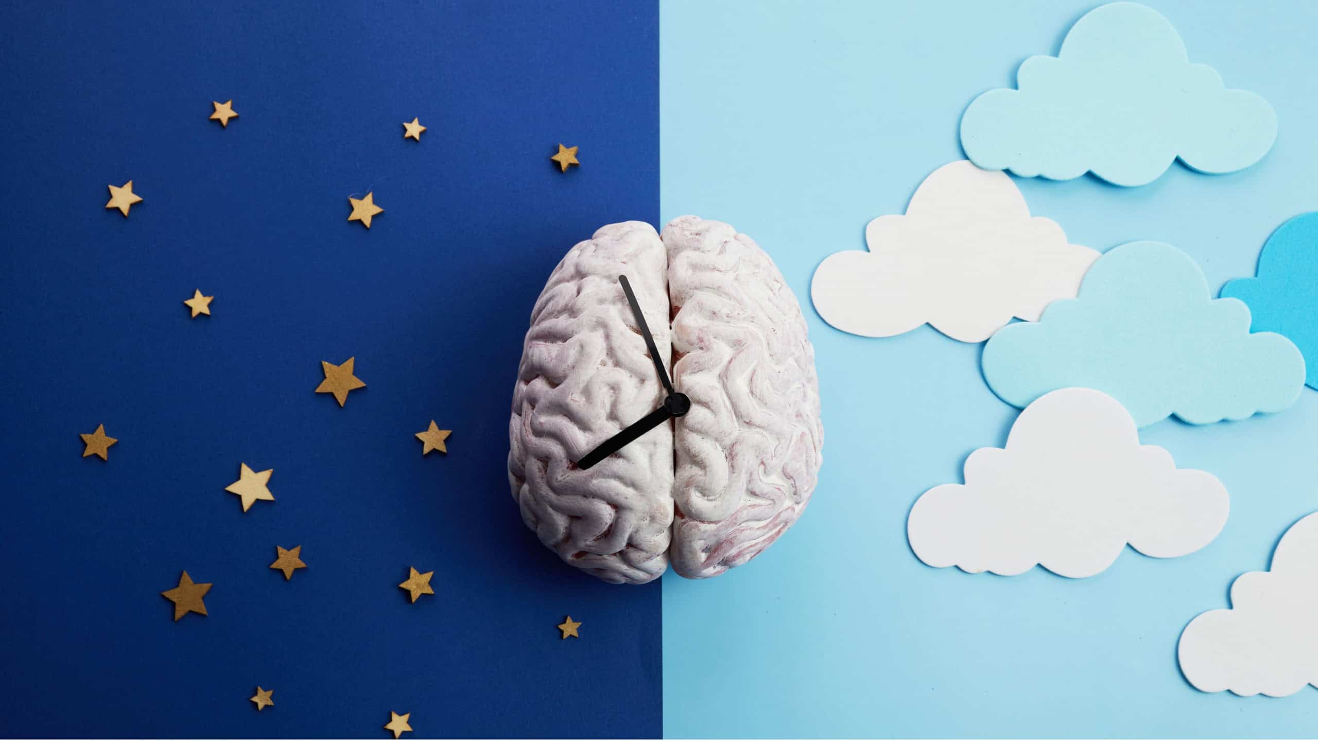 Por que algumas pessoas acordam antes do despertador? Entenda o ritmo circadiano