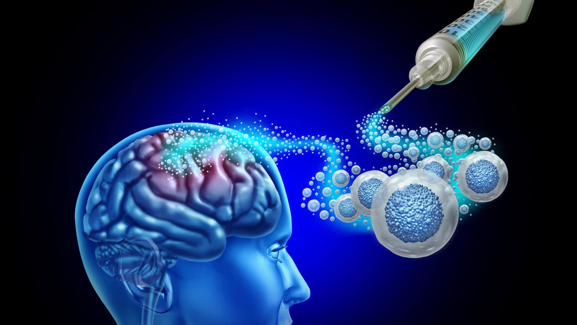 Engenharia genética e células-tronco abrem novas perspectivas para tratar danos no cérebro