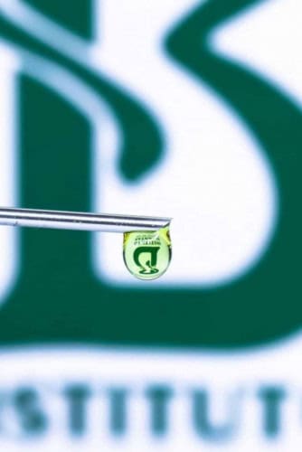 Capa - vacina dengue