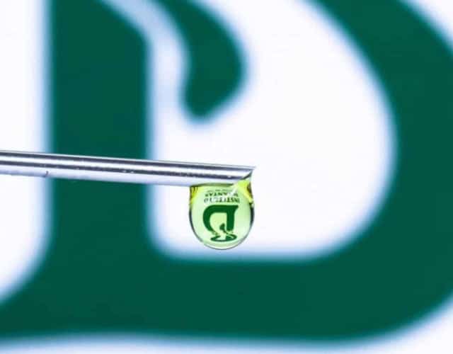 Capa - vacina dengue