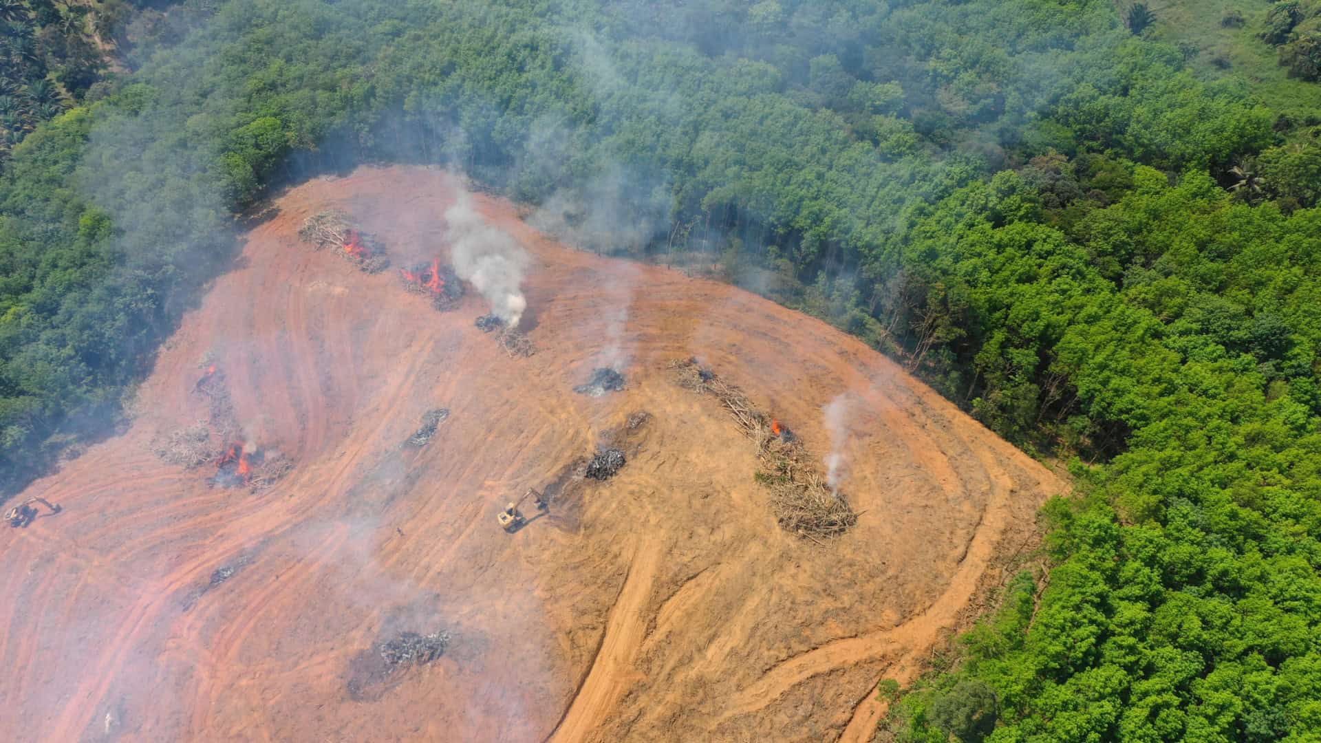 Secas históricas expõem risco de colapso na Amazônia