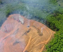 Secas históricas expõem risco de colapso na Amazônia
