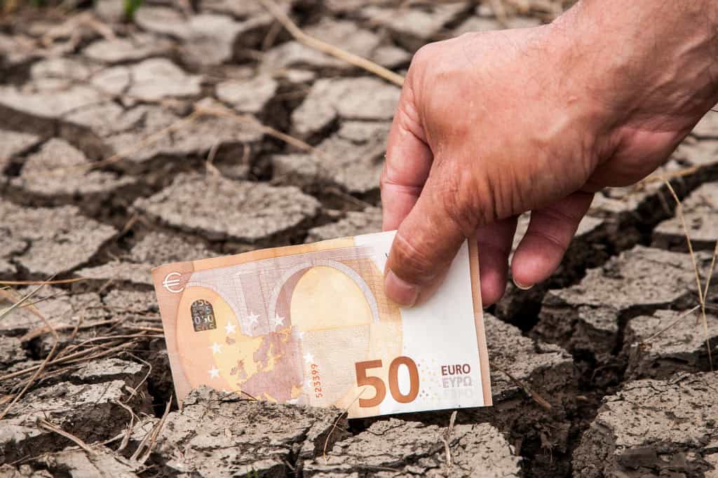 Notas de euro enfiadas em uma rachadura no solo