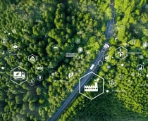 COP30: relatório destaca que Brasil pode gerar 10 milhões de empregos na economia sustentável