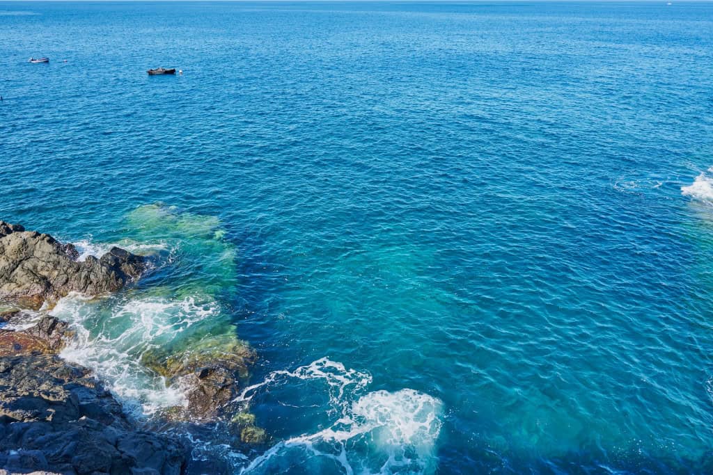 Pesquisa inédita reconstrói a história evolutiva dos peixes de ilhas oceânicas do Atlântico