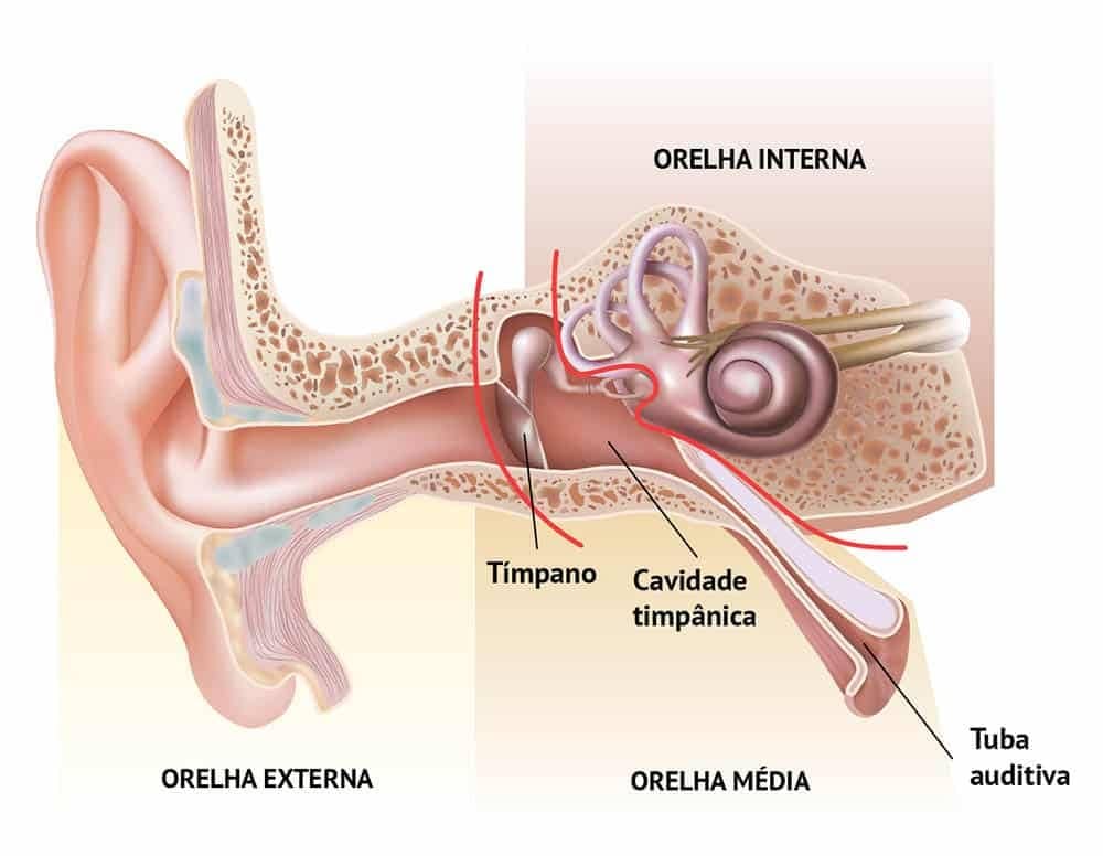 Otite média atinge região intermediária que compreende a câmara timpânica e a tuba auditiva 