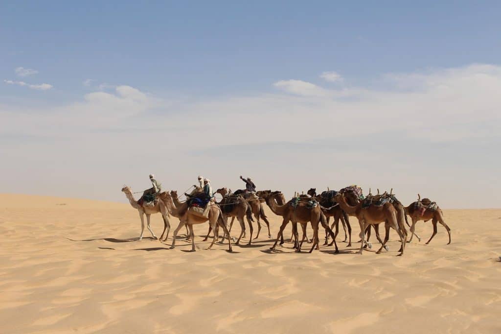 Grupo de pessoas montadas em camelos no deserto