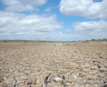 nordeste-seca-deserto-210x172