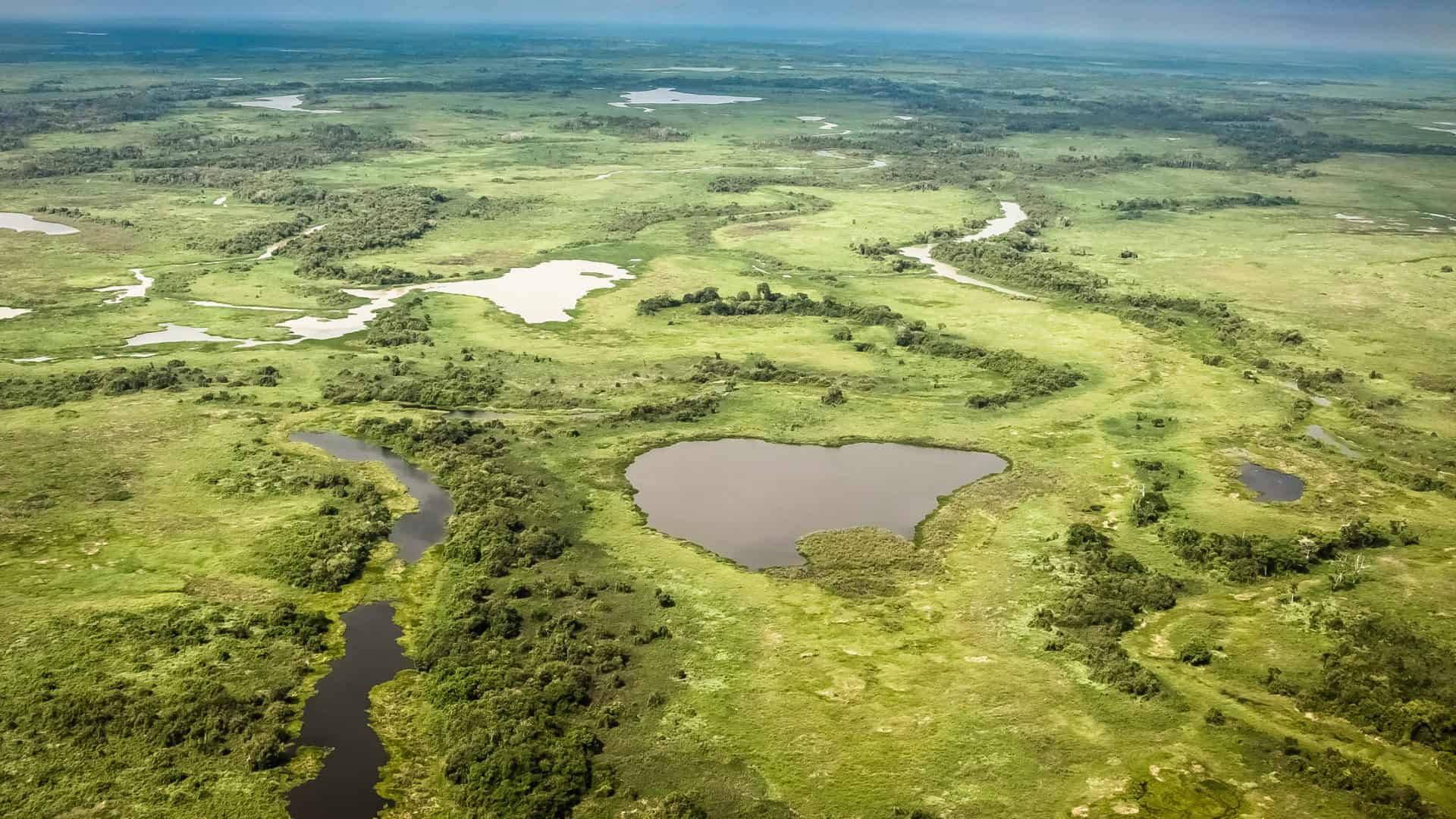 pantanal