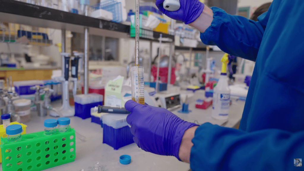 pigmento laboratorio