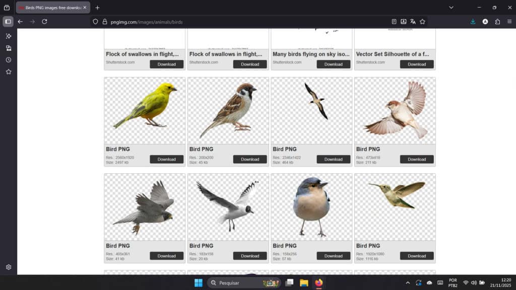 Captura de Tela do site pngimg em página com imagens de pássaros em fundo transparente