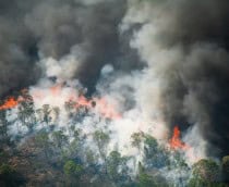 Fogo e desigualdade mantêm Amazônia sob ameaça apesar da redução no desmatamento