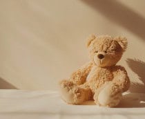 shutterstock_2541835917-210x172