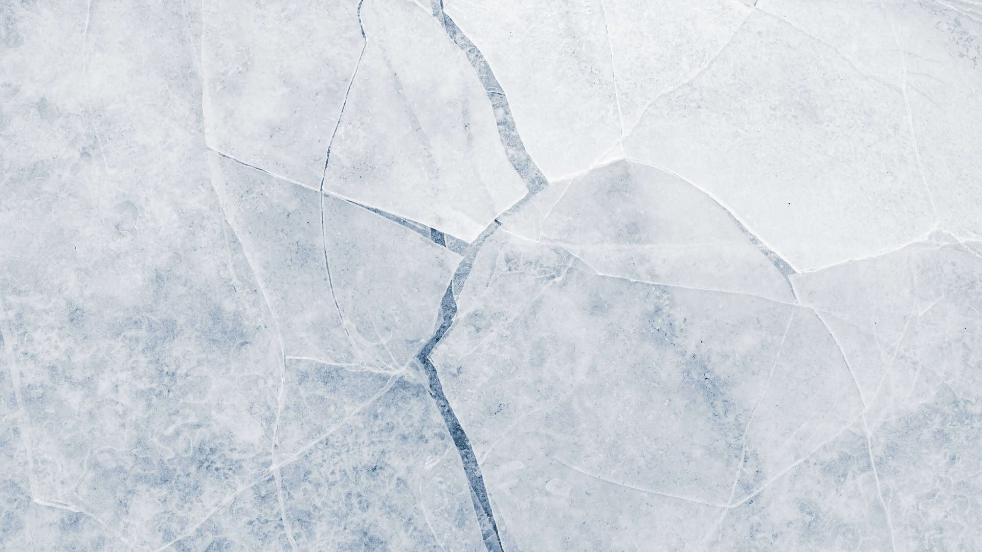 shutterstock_2659089505-1-1920x1080