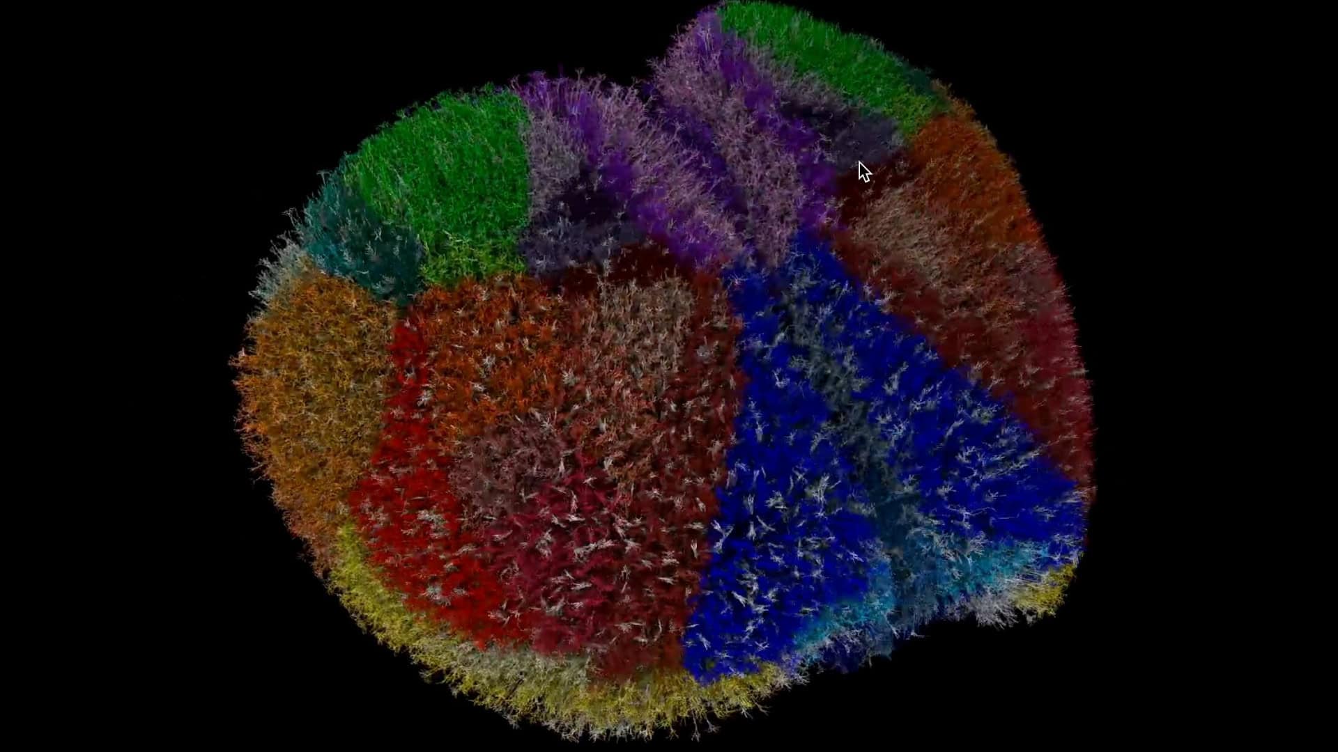 simulacao-cerebral-rato-1920x1080