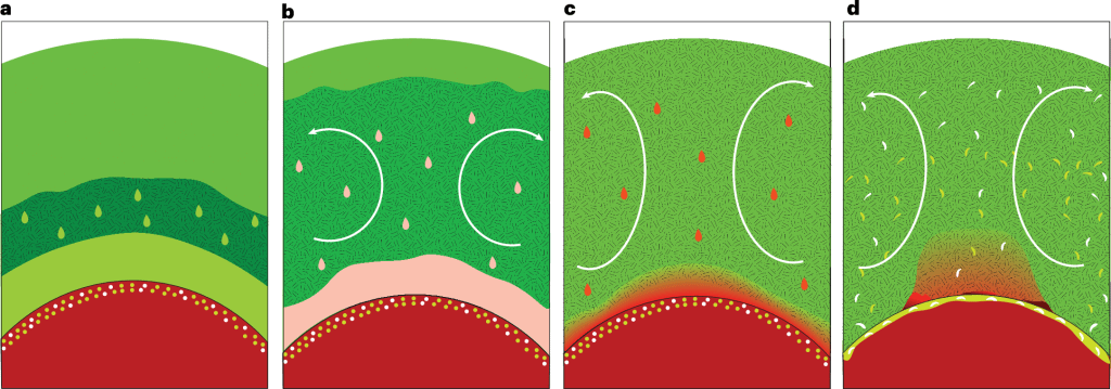 terra poas de lama manto