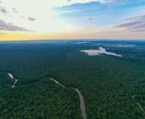 vista amazonia