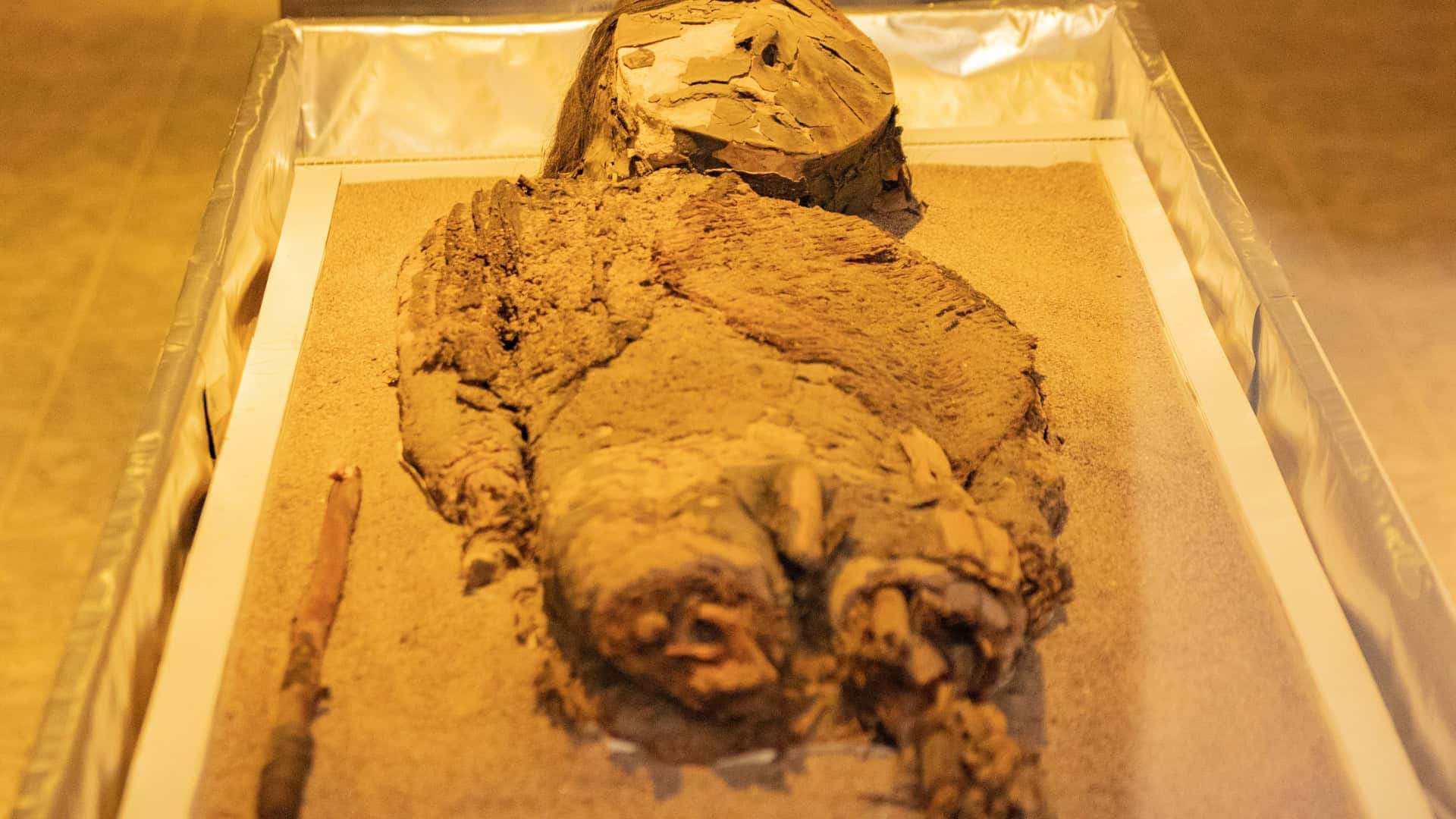 Chinchorro-mmia-1920x1080