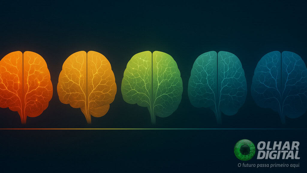 Ilustração com cérebros coloridos colocados lado a lado acima de uma linha para representar desenvolvimento cerebral ao longo de uma vida