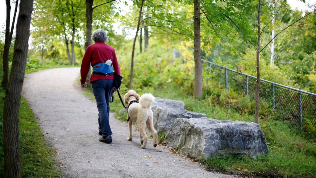 Idosa fazendo caminhada com cachorro em trilha