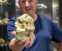 Jesse-Martin_Archaeology-4_WEB-210x172