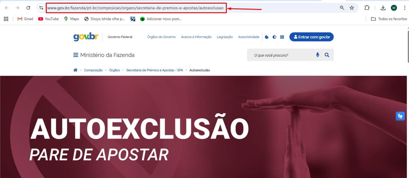 Autoexclusão