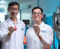 Pesquisadores da NUS