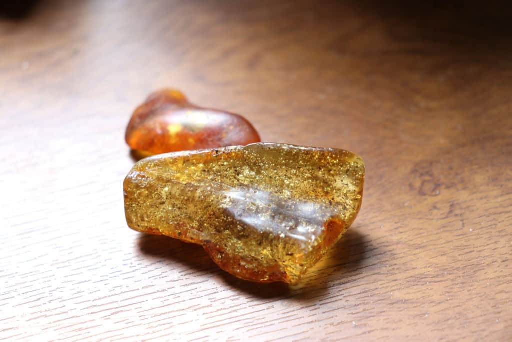 Uma descoberta improvável transformou um simples peso de porta em um dos maiores âmbares intactos já registrados.