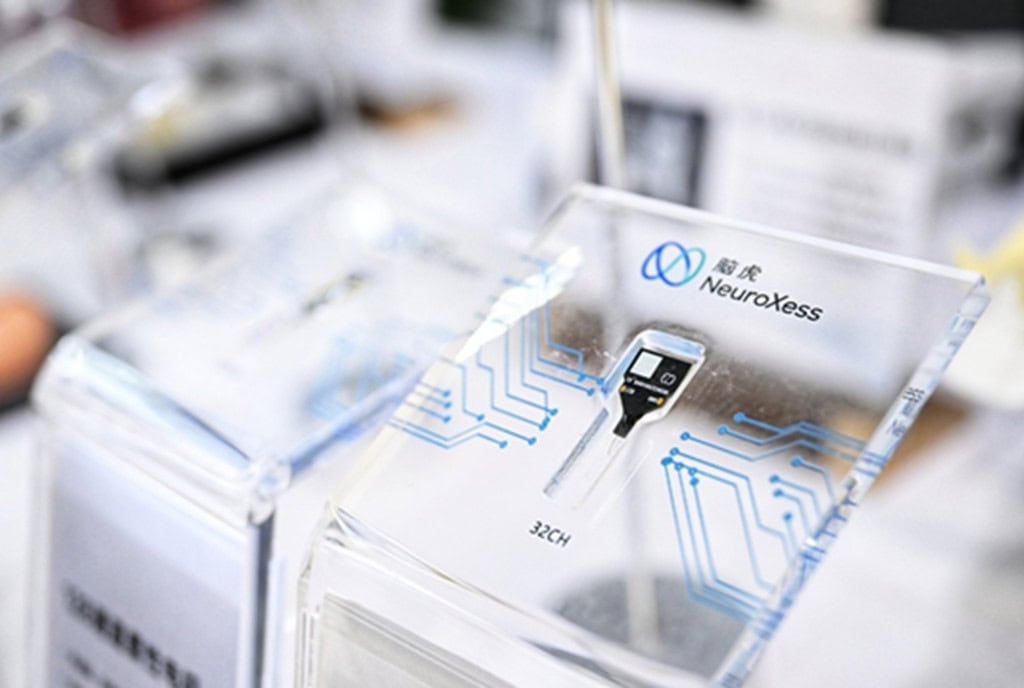 chip cerebral da Shangai NeuroXess