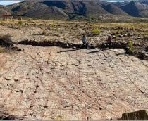 Exemplo de arranhões no chão do sítio