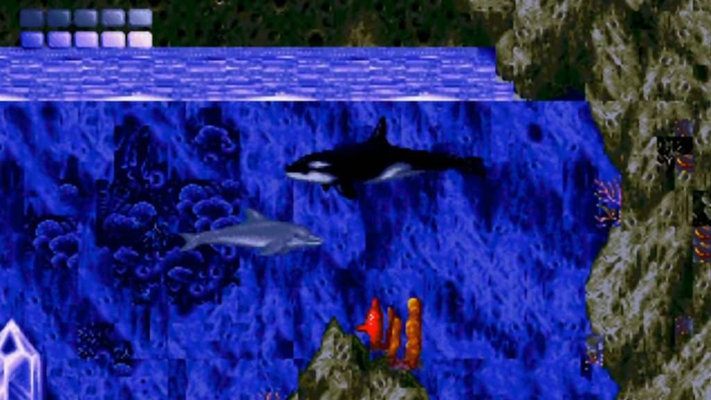 Ecco the Dolphin