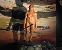 homo-floresiense-shutterstock_2359809535-210x172