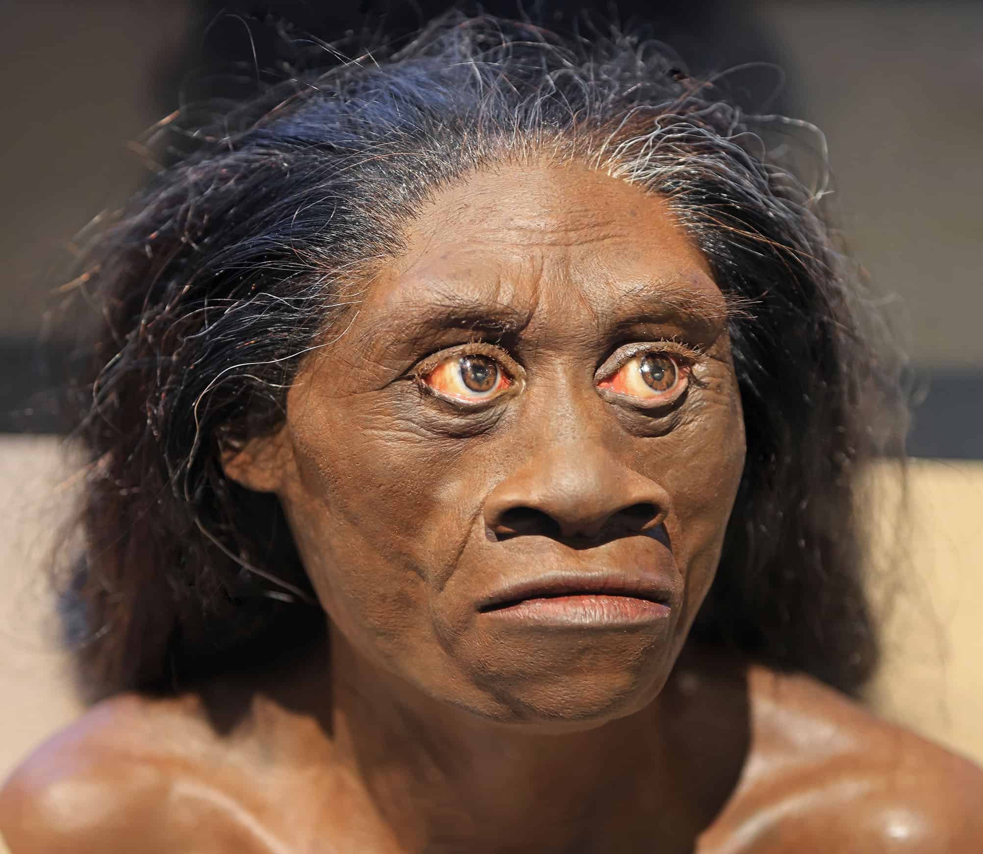 “Hobbits” pré-históricos podem não ter caçado nem usado fogo