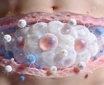 Pesquisadores descobrem como o sistema imunológico retarda a perda de gordura