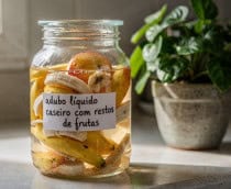 Esse adubo líquido natural transforma restos de frutas em um elixir para sua plantas