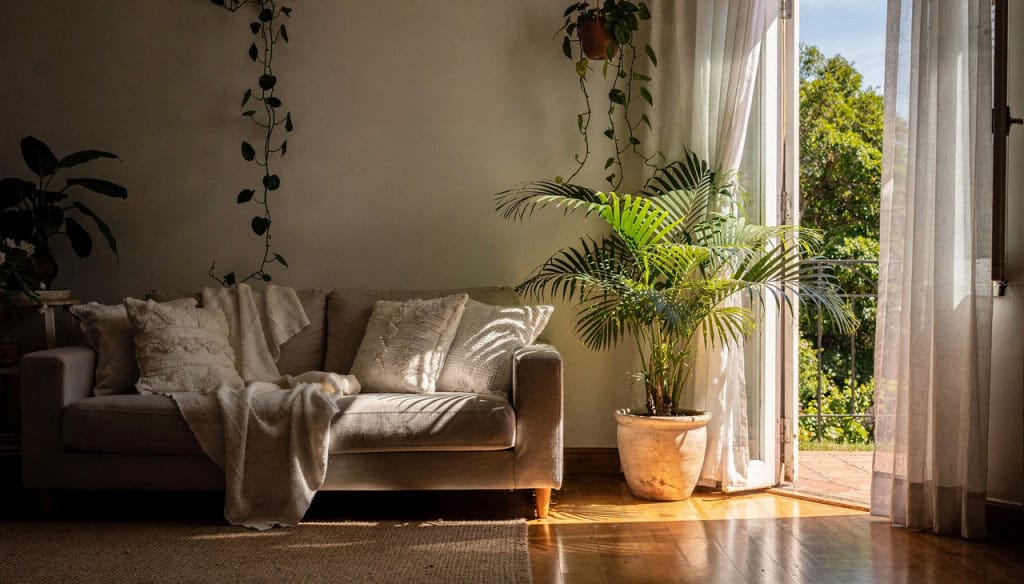 Casas com essas 5 plantas parecem sempre mais frescas no calor