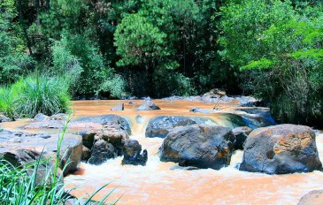 Cidade no sul de Minas vira modelo de reciclagem e sustentabilidade