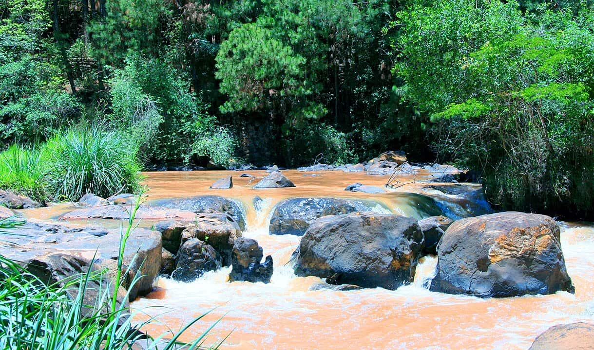 Cidade no sul de Minas vira modelo de reciclagem e sustentabilidade