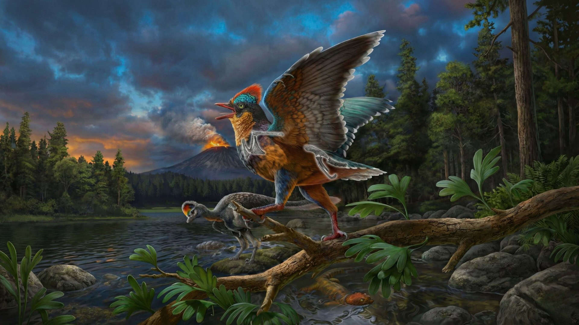 Ilustração artística retrata como seria o Baminornis zhenghensis, ave do período Jurássico de 150 milhões de anos, em seu habitat na antiga Fauna de Zhenghe, na China. Ilustração expandida com uso de Gemini