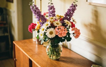 Cores e aromas das flores influenciam o humor mais do que parece